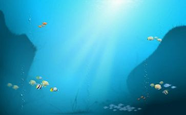 海底两万里心得体会优质5篇