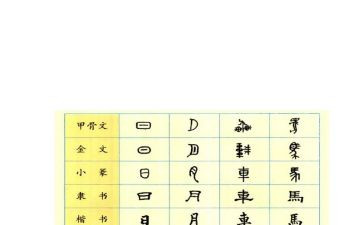 汉字赞读后感8篇