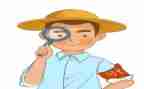 河长工作述职报告优秀6篇