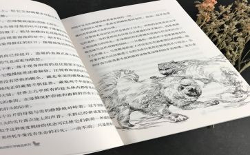 黑焰读书心得最新5篇