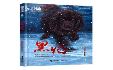 黑焰读书心得优质6篇