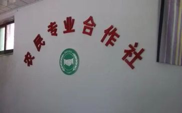 合作社入股合同6篇