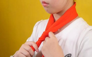红领巾评选活动方案6篇