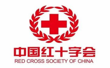 红十字日活动方案8篇