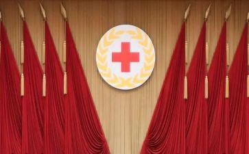 红十字日活动总结7篇