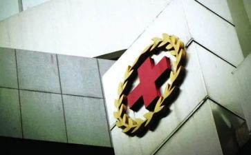 红十字日活动策划7篇