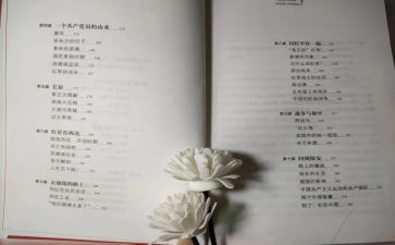 红星照耀读后感600字优质5篇