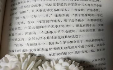 红星照耀中国读后感800字优秀6篇
