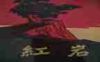 红岩的读后感600字模板5篇