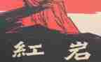 红岩的读后感800字参考8篇