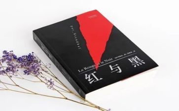 红与黑院读后感优质5篇