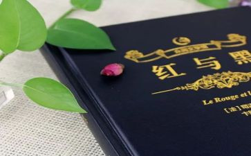 《红与黑》读后感5篇