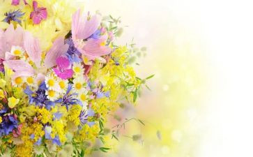 写花园的作文500字5篇