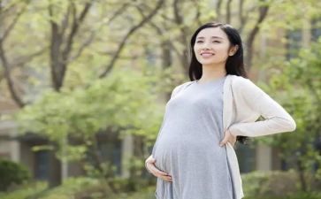 怀孕申请书6篇