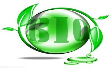 环保袋调查报告6篇
