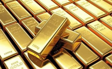 黄金指读后感6篇