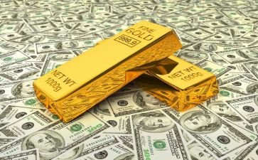 黄金豹读后感8篇