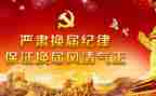 换届前党支部工作报告8篇