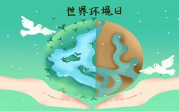 2024年六五环境日宣传活动总结7篇