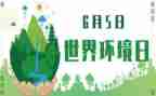 2024年6.5环境日活动方案推荐6篇