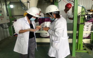 化验工作计划和总结7篇