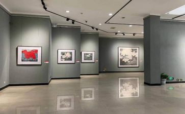 庆元旦书画展活动方案5篇