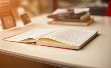 会计师述职报告7篇