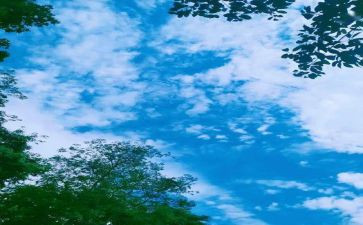 回忆母爱作文8篇