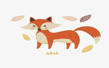 狐狸与猫读后感模板5篇