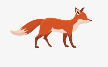 狐狸与猫读后感6篇