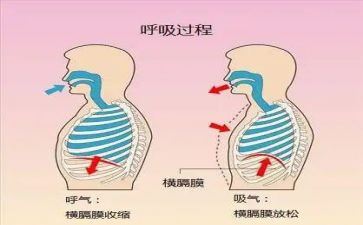 呼吸内科护理工作计划6篇