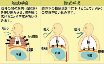 2024年呼吸科工作总结7篇