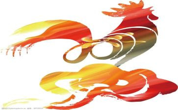 摸鸡毛读后感5篇