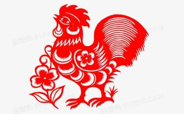 鸡毛象读后感6篇