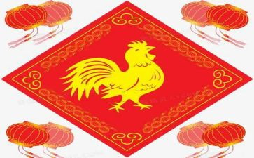 抓小鸡的作文8篇