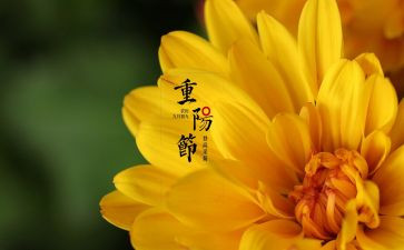 写中秋佳节的作文最新7篇