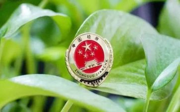 副检察长述职报告7篇