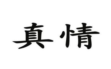 《真情》读后感8篇