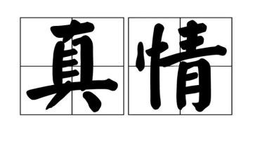 真情作文500字最新8篇