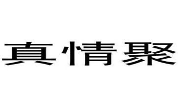 《人间真情》读后感6篇