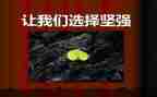 我坚强作文600字8篇