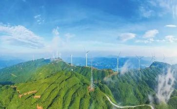 生态建设的调研报告8篇