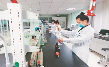 检验工作年度总结8篇