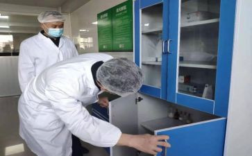 检验的工作总结通用8篇