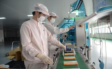 检验岗的工作总结报告8篇