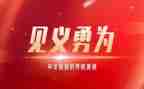 见义智为事迹材料范文6篇
