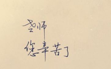 安全培训教师工作总结6篇