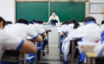 教师的专业能力心得体会6篇