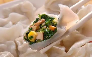春节吃饺子作文5篇