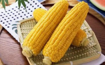 小玉米作文通用8篇